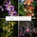 Longwood Gardens Orchids
