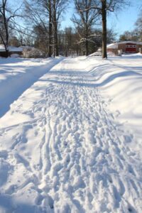 Deer Tracks In Snow in front of Larry's Bethesda Home