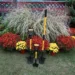 Go To Www.SpearHeadSpade.com And Enter The Coupon Code Behnkes10 To SAVE 10% Off Your Purchase