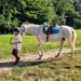 Granddaughter, Zoe At Her Horseback Riding Lesson