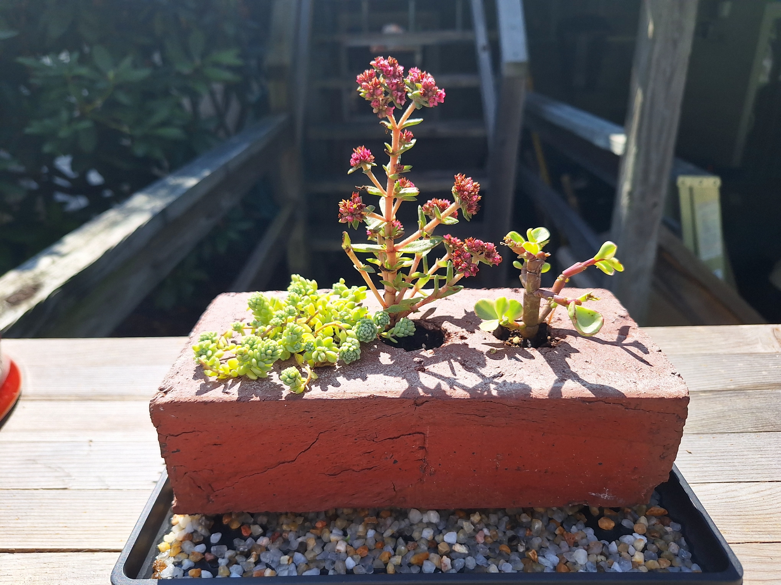 Brick planter from Behnke's brick house