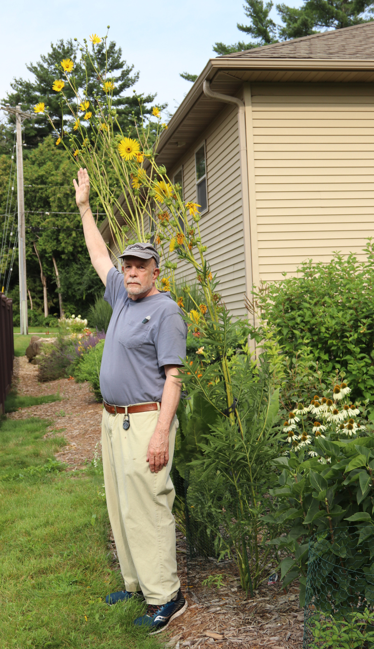 Prairie-Compass-with-Prairie-Dock-behind-it-with-Larry-Hurley