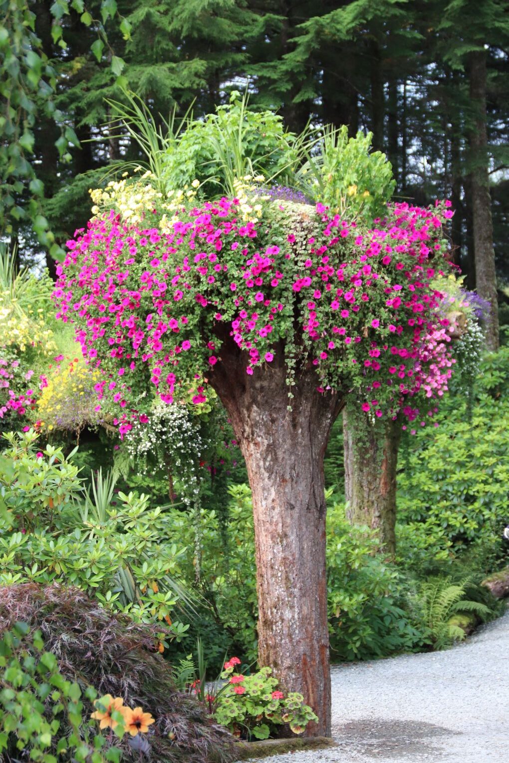 Glacier Gardens upside-down tree planters