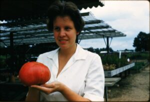 Ele Behnke holding a Belgium Giant Tomato 