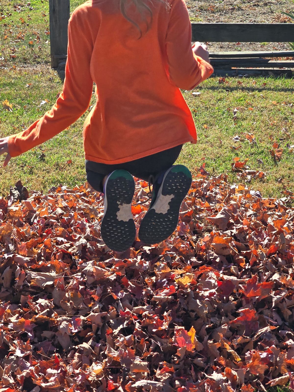 Zoe Jumping in a pile of leaves