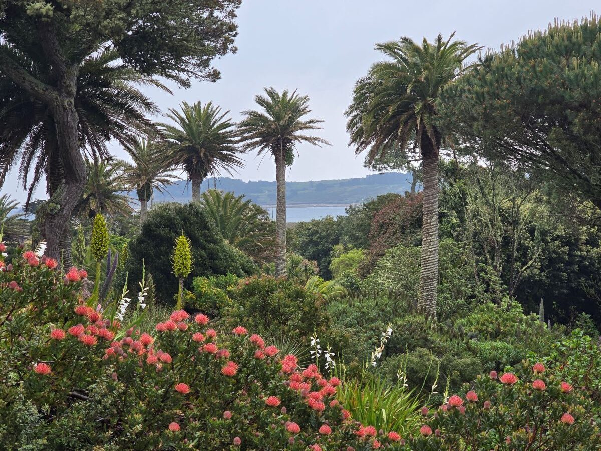 Isles of Scilly Photo of gardens by L Hurley